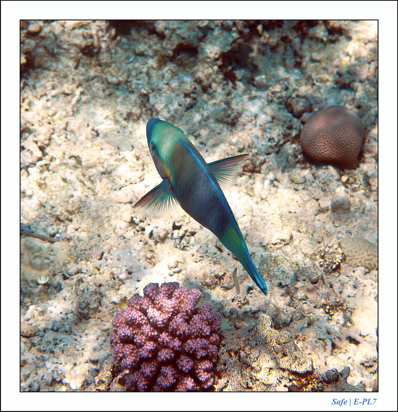 Hurghada - Juillet 2021 - 089